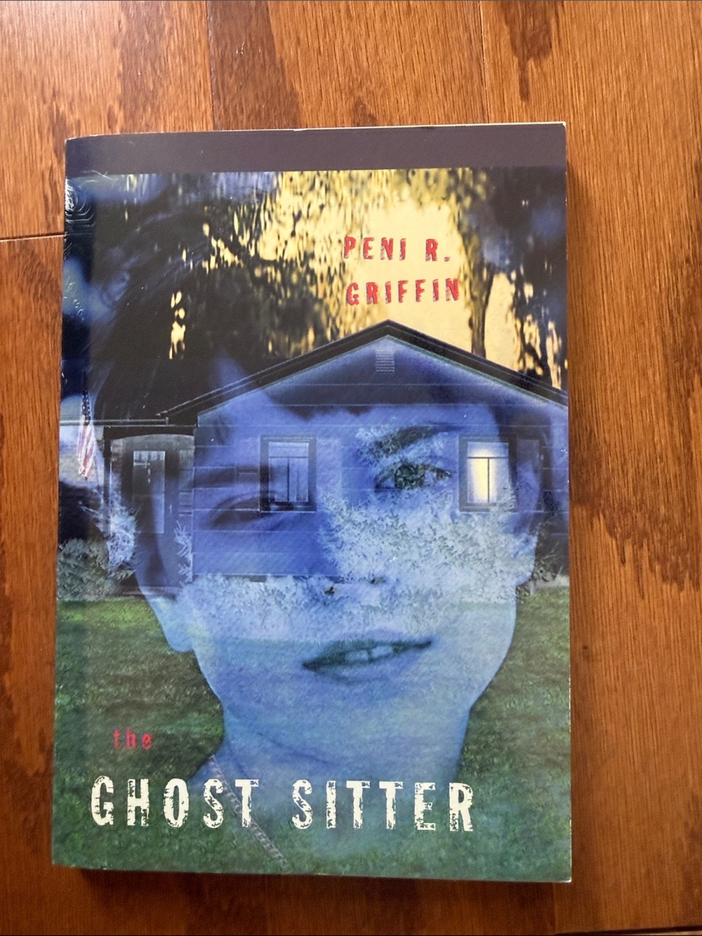 Vintage 2002 The Ghost Sitter Peni R Griffin Scholastic Ghost Story